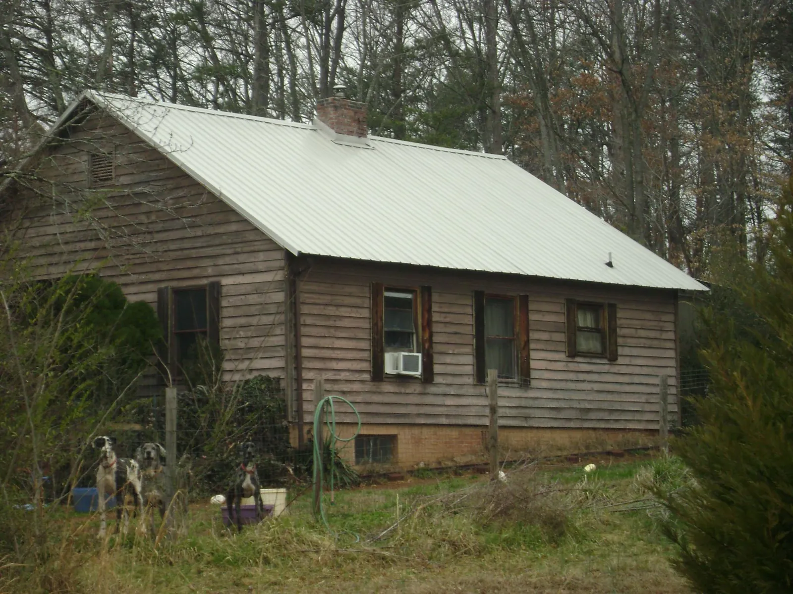 White metal roof on an old wood sided farmhouse, from a Asphalt Shingle Roof Repair job in Hospers